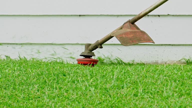 How Our Tree Care Process Works  in  Cottonwood, AL